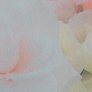 Meet your Posher, Sab